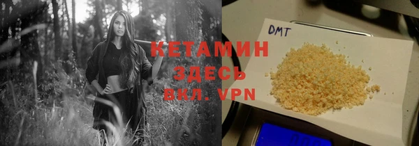 a pvp Бородино